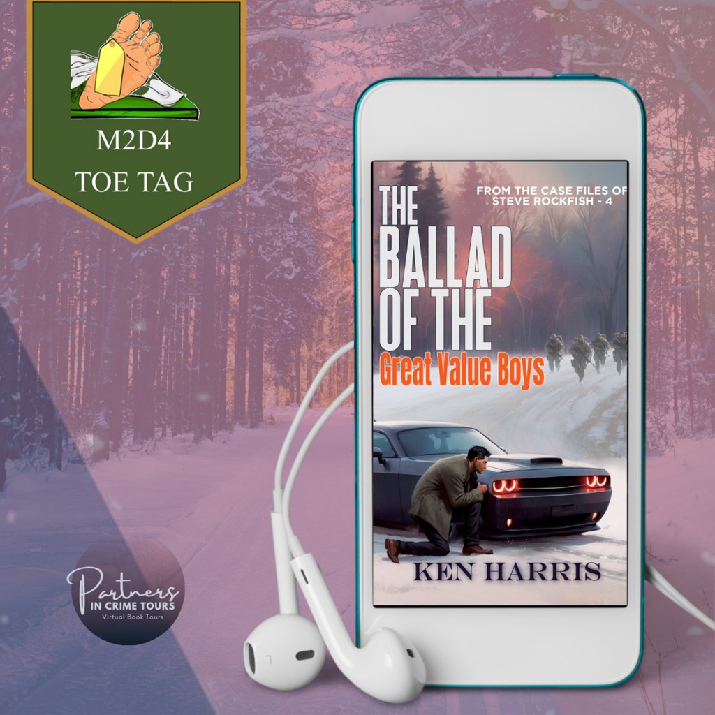 Book cover with cool background