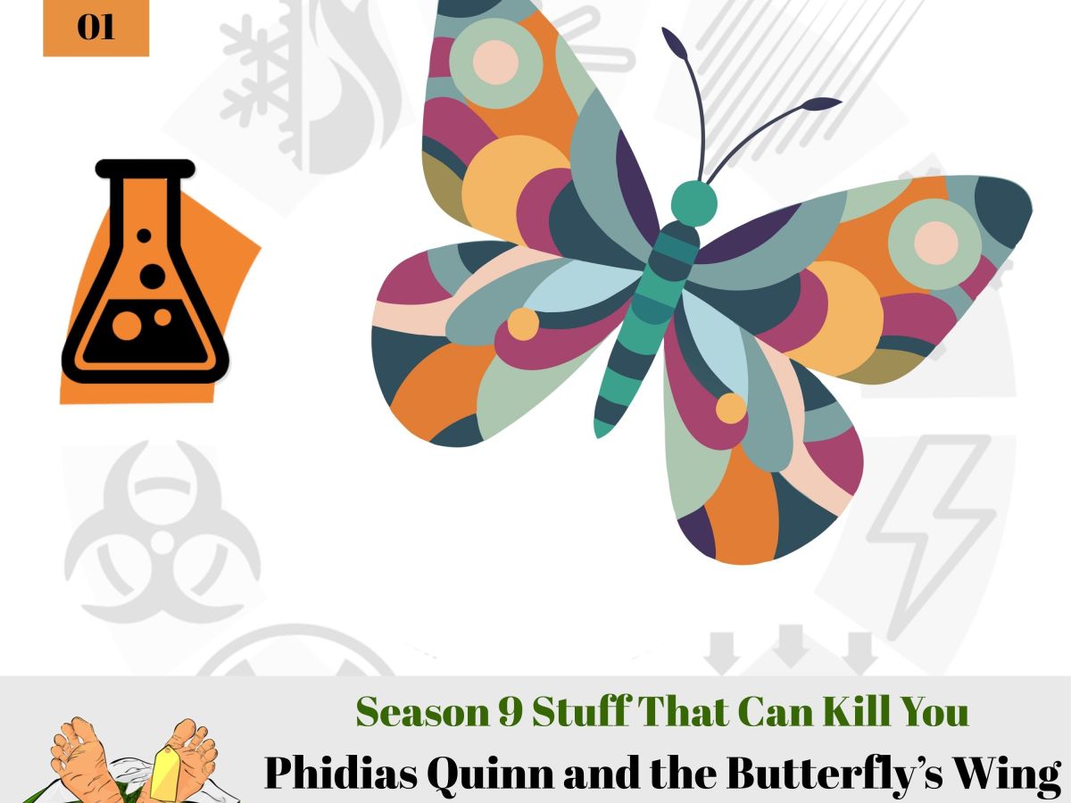 S9E1: Phidias Quinn and the Butterfly’s Wing